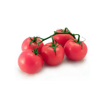Pomidor malinowy Luz