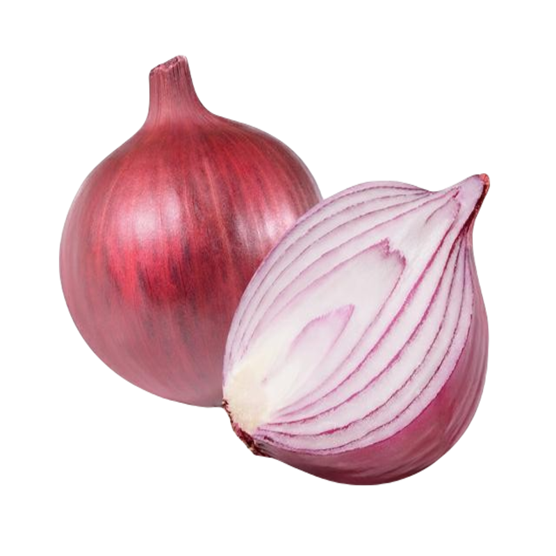 Cebula_czerwona