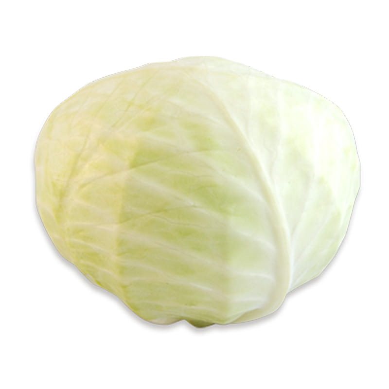 kapusta-biala-luz.jpg