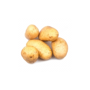 ziemniak wczesny.jpg