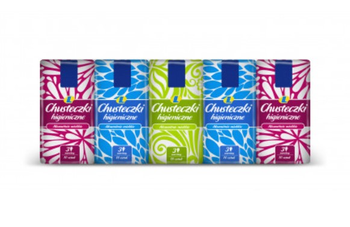 Chusteczki higieniczne 10-pak Lewiatan