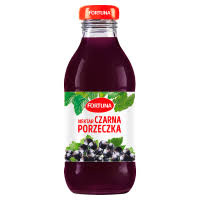 Nektar Czarna Porzeczka  300ml Fortuna